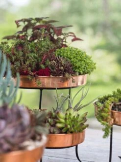 Small Round Copper Plant Tray, 10" 6 Small Round Copper Plant Tray, 10" -Deals Garden Decor Store 8593564 4399 tif