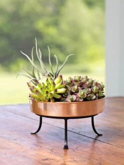 Extra Small Round Copper Plant Tray, 8" -Deals Garden Decor Store 8593564 4641 001E tif