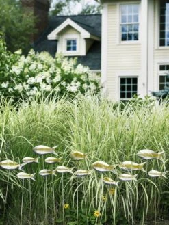 Fish Out Of Water Garden Stakes, Set Of 5 -Deals Garden Decor Store 8593672 9124 tif