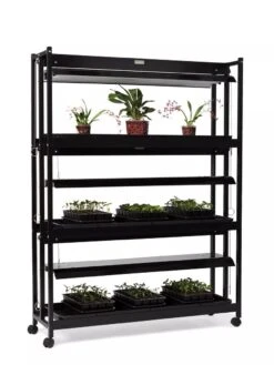 High Intensity 3-Tier SunLite® Garden -Deals Garden Decor Store 8593944 1608 tif