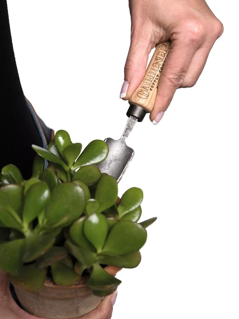 Gardener's Lifetime Mini Trowel 3 Gardener's Lifetime Mini Trowel - Image 3
