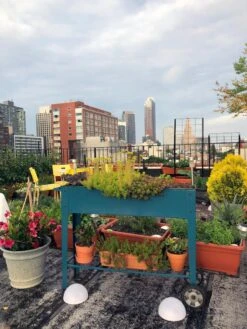 Demeter Mobile Planter Cart -Deals Garden Decor Store 8594148 01CUST tif