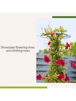 Essex Tuteur, 63" -Deals Garden Decor Store 8594162 4