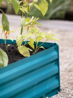 Demeter Corrugated Metal Raised Bed, 34" X 68" 13 Demeter Corrugated Metal Raised Bed, 34" X 68" -Deals Garden Decor Store 8594183 470 tif 1