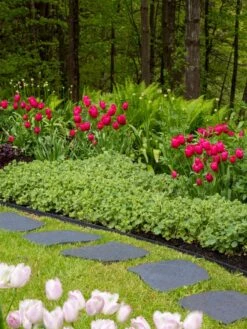 Recycled Rubber Flagstone Stepping Stone -Deals Garden Decor Store 8594282 518 tif