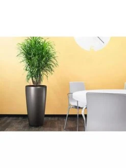 Lechuza® Rondo Self-Watering Planters -Deals Garden Decor Store 8594586 02V tif