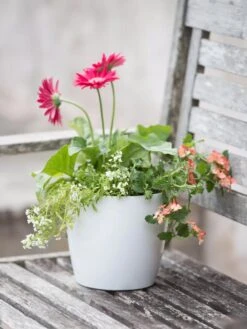 Viva Round Self-Watering Planter, 7" Diameter 8 Viva Round Self-Watering Planter, 7" Diameter -Deals Garden Decor Store 8595222 1139 tif