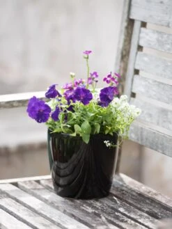 Viva Round Self-Watering Planter, 7" Diameter 9 Viva Round Self-Watering Planter, 7" Diameter -Deals Garden Decor Store 8595222 1140 tif