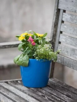 Viva Round Self-Watering Planter, 7" Diameter 7 Viva Round Self-Watering Planter, 7" Diameter -Deals Garden Decor Store 8595222 1143 tif