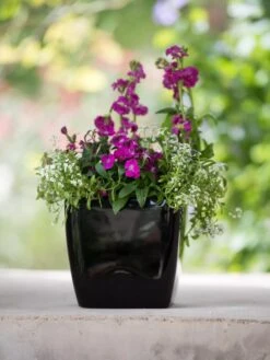 Viva Square Self-Watering Planter, 7" Diameter -Deals Garden Decor Store 8595223 1107 tif