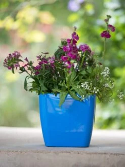 Viva Square Self-Watering Planter, 7" Diameter -Deals Garden Decor Store 8595223 1113 tif