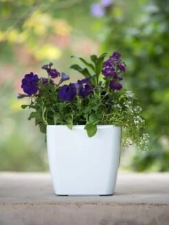 Viva Square Self-Watering Planter, 7" Diameter -Deals Garden Decor Store 8595223 1118 tif