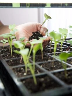 LED Stack-n-Grow Lights - Base Unit -Deals Garden Decor Store 8595770 7373 tif