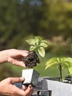 Galvanized Seed Starting Tray -Deals Garden Decor Store 8595893 4378 tif