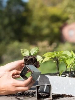 Galvanized Seed Starting Tray -Deals Garden Decor Store 8595893 4382 tif