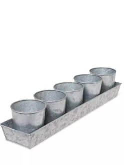 Galvanized Herb Planters With Rectangular Tray -Deals Garden Decor Store 8595903 3924 tif