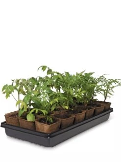 3-1/2” Square Biodegradable Pots & Tray Set -Deals Garden Decor Store 8595968 3916 tif