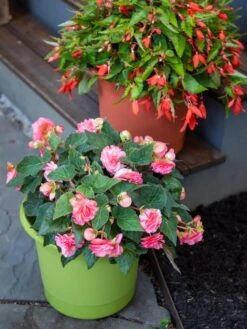 Eezy Gro Self-Watering Planters -Deals Garden Decor Store 8596427 0034 tif