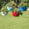 Viva Self-Watering Hanging Basket, 14" Diameter