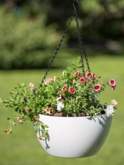 Viva Self-Watering Hanging Basket, 14" Diameter 7 Viva Self-Watering Hanging Basket, 14" Diameter -Deals Garden Decor Store 8596442 0864 tif