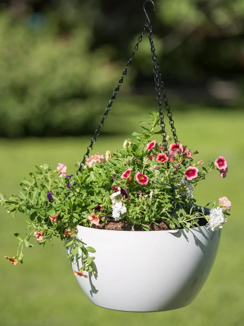 Viva Self-Watering Hanging Basket, 14" Diameter 3 Viva Self-Watering Hanging Basket, 14" Diameter - Image 3