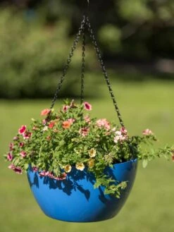 Viva Self-Watering Hanging Basket, 14" Diameter 9 Viva Self-Watering Hanging Basket, 14" Diameter -Deals Garden Decor Store 8596442 0876 tif