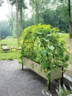 Self-Watering Elevated Planter Box, 2' X 8' -Deals Garden Decor Store 8596760 0046 tif