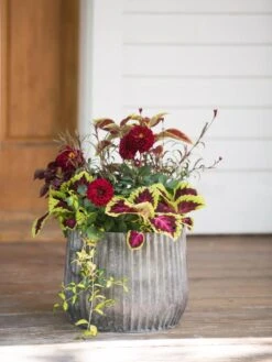 Galvanized Ribbed Planters -Deals Garden Decor Store 8597435 1693 tif