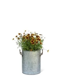 Galvanized Rim Planters -Deals Garden Decor Store 8597442 1705 tif