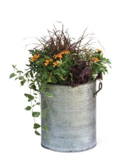 Galvanized Rim Planters -Deals Garden Decor Store 8597443 1704 tif