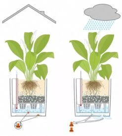 Lechuza® Cube Premium Planters 9 Lechuza® Cube Premium Planters -Deals Garden Decor Store 8597506 05V tif