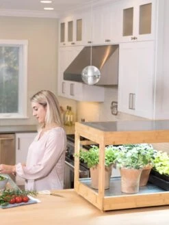 Low Bamboo LED Grow Light Garden -Deals Garden Decor Store 8597720 0816 tif