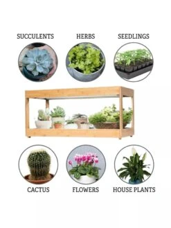 Low Bamboo LED Grow Light Garden -Deals Garden Decor Store 8597720 3