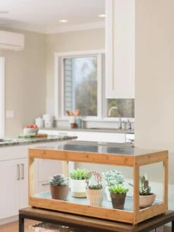 Low Bamboo LED Grow Light Garden -Deals Garden Decor Store 8597720 9385 tif