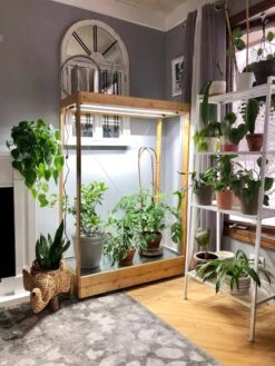 Tall Bamboo LED Grow Light Garden -Deals Garden Decor Store 8597884 01IN tif