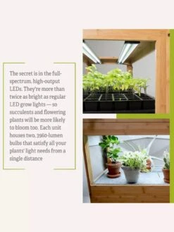 Bamboo LED Grow Light Garden For Succulents And Seeds -Deals Garden Decor Store 8598084 7