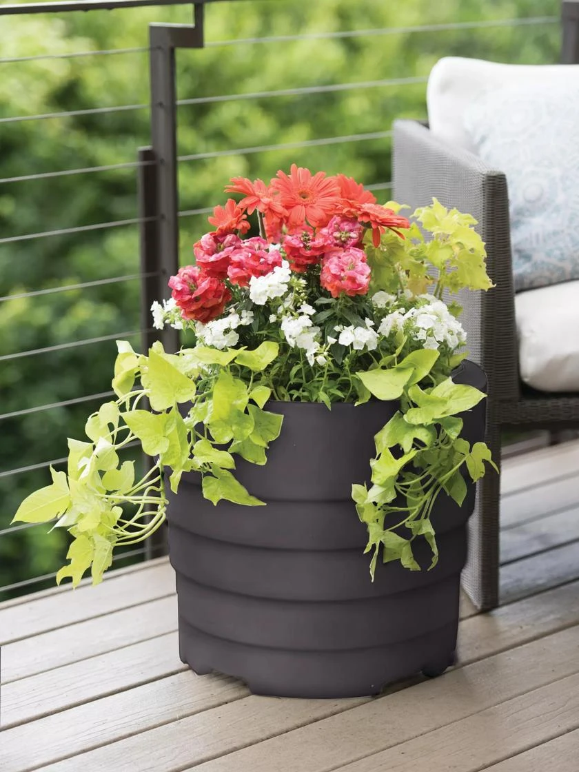 Gardener’s Victory Self-Watering Patio Planter 3 Gardener’s Victory Self-Watering Patio Planter - Image 3