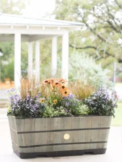 VegTrug™ Trough Planters -Deals Garden Decor Store 8598402 08880 tif