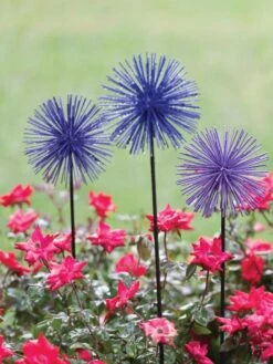 Everbloomin' Alliums, Set Of 3 -Deals Garden Decor Store 8598435 1000 tif