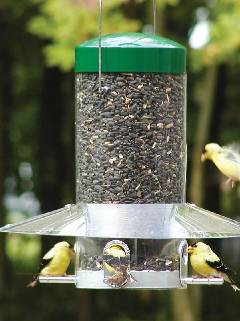 Birds Choice™ Classic Tube Feeder With Weather Guard Baffle, 12" 1 Birds Choice™ Classic Tube Feeder With Weather Guard Baffle, 12"