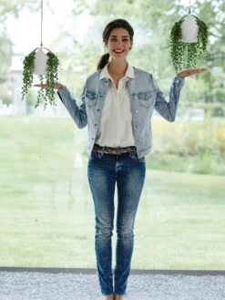 Deals Garden Decor Store -Deals Garden Decor Store 8599179 02V tif