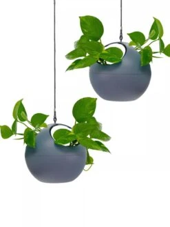 Exaco Euro Hanging Planters, Set Of 2 7 Exaco Euro Hanging Planters, Set Of 2 -Deals Garden Decor Store 8599179 04V tif