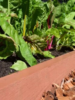 Straight Landscape Edging Kit With 2" Boards 6 Straight Landscape Edging Kit With 2" Boards -Deals Garden Decor Store 8599408 02V tif