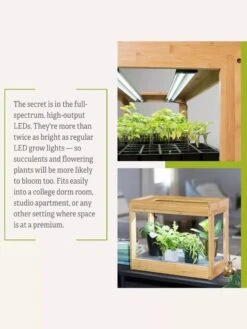 Bamboo Mini LED Grow Light Garden -Deals Garden Decor Store 8599624 06