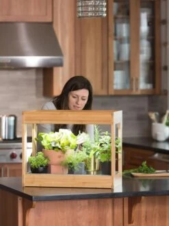 Bamboo Mini LED Grow Light Garden -Deals Garden Decor Store 8599624 12532 tif