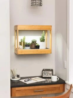 Bamboo Mini LED Grow Light Garden -Deals Garden Decor Store 8599624 12872 tif