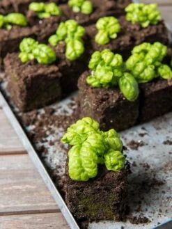 Soil Blocker, 4 Cell -Deals Garden Decor Store 8599790 1057 tif