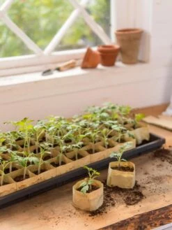 Paper Pots, 50 Cell 9 Paper Pots, 50 Cell -Deals Garden Decor Store 8599830 0502 paper pots 50 cell tif