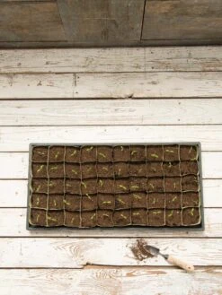 Paper Pots, 50 Cell 10 Paper Pots, 50 Cell -Deals Garden Decor Store 8599830 18489 tif