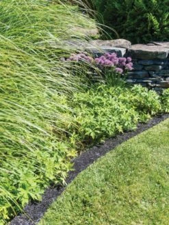 Recycled Rubber Mulch Edging, 12’ X 6” -Deals Garden Decor Store 8599854 0897 tif